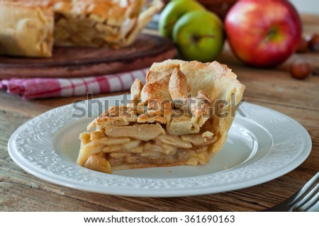 piece of apple pie closeup on a white plate