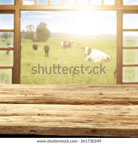 shabby wooden desk space and cows 