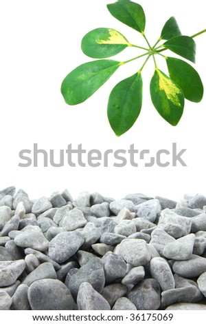 stones and leaves with copy space for text message