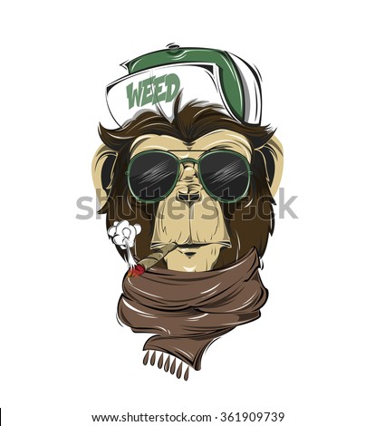 HIPSTER monkey print for t-shirt. Monkey modern street style attributes. Vector art. Monkey head for poster.