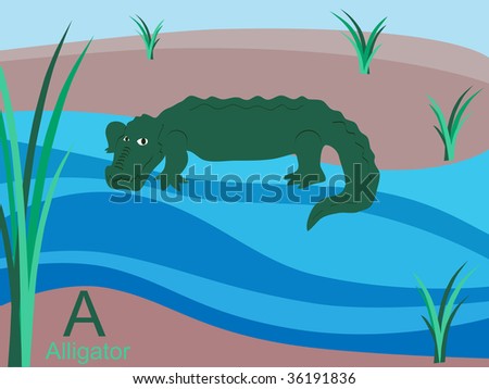 Animal alphabet flash card, A for alligator. jpeg format