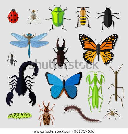 Set of various insects design flat. Bug and butterfly, ant and bee, spider and fly, ladybug and dragonfly, grasshopper wildlife, creature cockroach. Insect icon flat set with mosquito spide isolated
