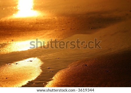 The golden light of sunset colors the beach