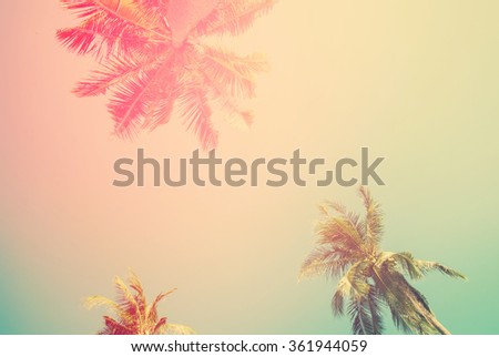 Tropical  background with palm trees in sun light. For Holiday travel design. Toned pastel effect