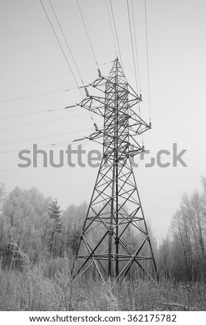 Transmission in the Russian forest