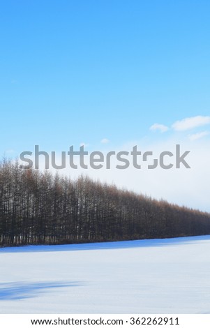 Winter of Hokkaido Japan