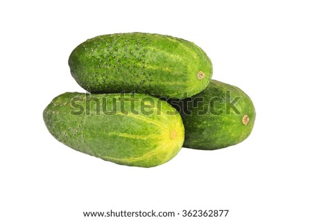 Fresh green cucumber gherkin, isolated on a white background