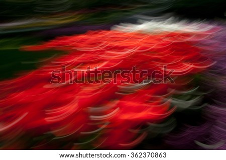Red abstract flowers background