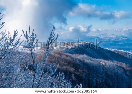 Winter landscape of a mountain peek.
