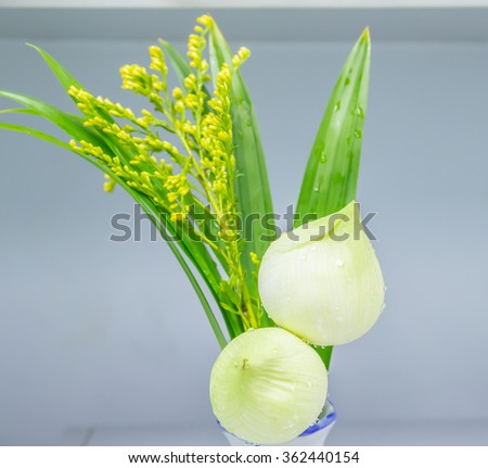 The Green lotus in the vase for offer sacrifice Buddha image.