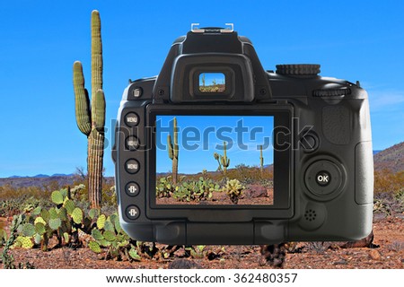 Photography in the Arizona desert 