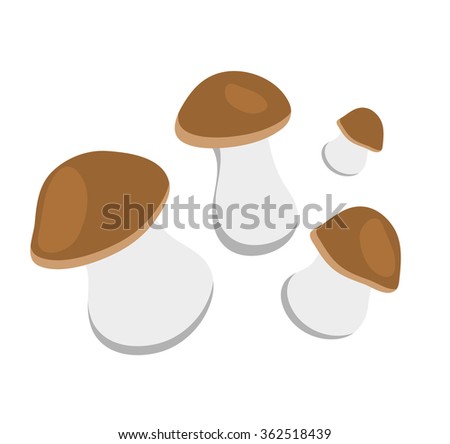 Brown champignon mushroom isolated on white background