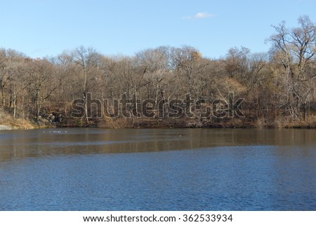 Lake at Central Park with trees without foliage.