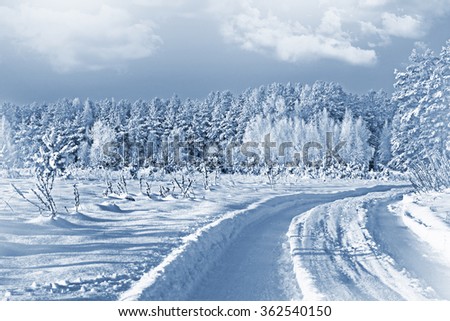 Photos of the winter woods. Winter landscape.