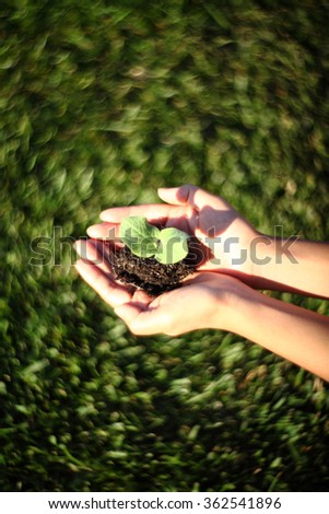 Human hands holding green small plant new life concept. with wonderful swirly bokeh effect by Petzval lens. copy-space