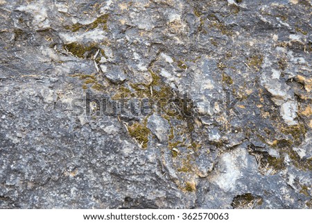 rock with moss texture and background