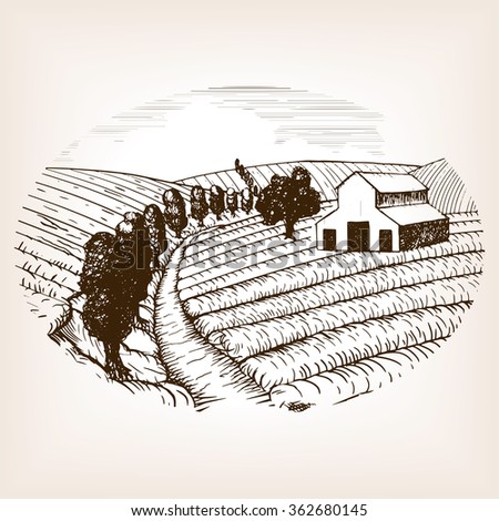 Farm landscape sketch style raster illustration. Old engraving imitation. Hand drawn sketch imitation. Country Landscape