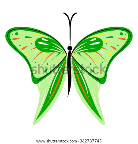 Vector illustration of insect, green butterfly, isolated on the white background