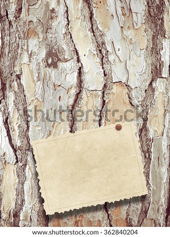 Close-up of one old postcard with red pin on brown tree bark background