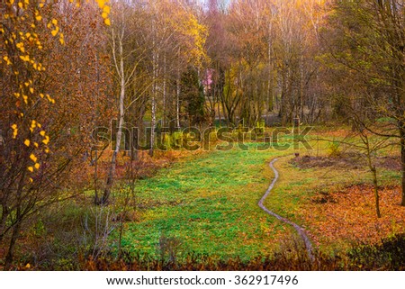 Autumn park in Ukraine