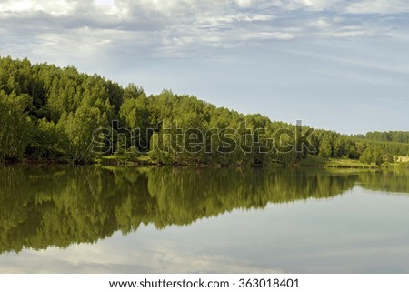 Summer water landscape
