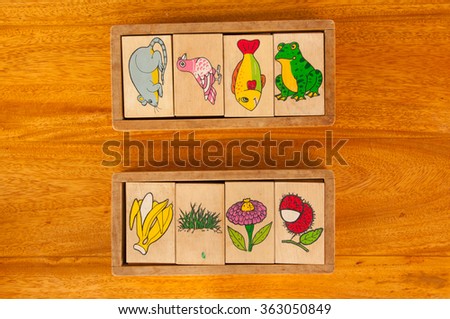 block of animal plant and fruit for learning