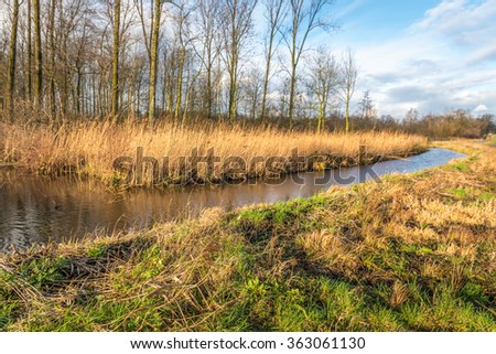 Small stream bending through a nature reserve in the Netherlands. It's autumn and the weather is changing.