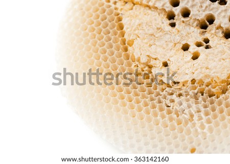 close up of beehive isolated on white background
