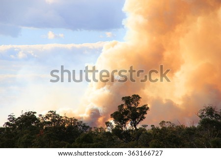 Bushfire in Australia Royalty-Free Stock Photo #363166727