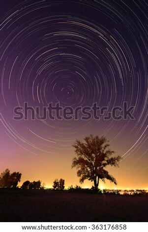 Image of a isolated tree on a hill with a blue background at night with startrail