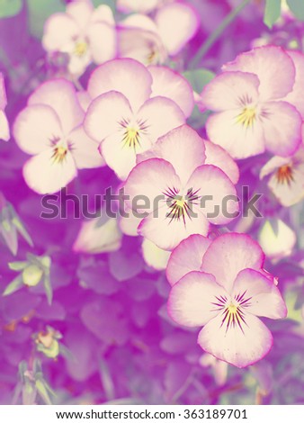 All kinds of colorful floral pattern background for display or editing products.
