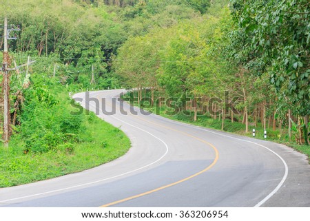 curves road in to the forest hill