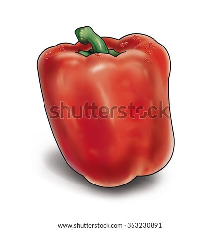 pepper. pepper fresh vegetable. pepper icon. pepper realistic. pepper illustration. pepper image. pepper fresh. pepper watercolor. pepper isolated. pepper food salad. Hand drawn. Pepper and water drop