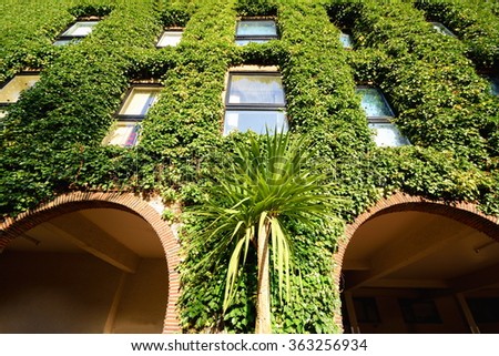 Beautiful building in London, England  covered with green ivy