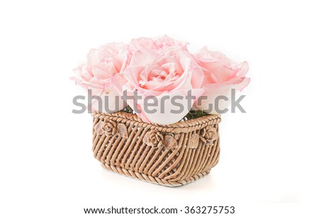 pink and white rose on white background