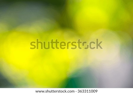 Bokeh background of foliage. Nature composition.