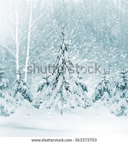 Winter Forest. Winter landscape. Snow covered trees.