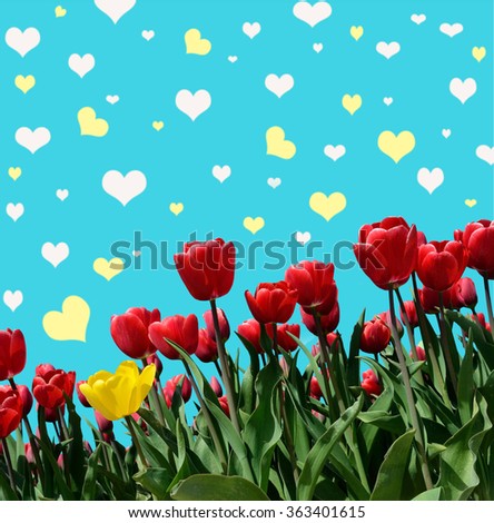 Abstract background with tulips for greeting with a Happy Valentine (March 8, February 14)