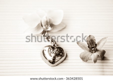 locket and heart and love and valentines