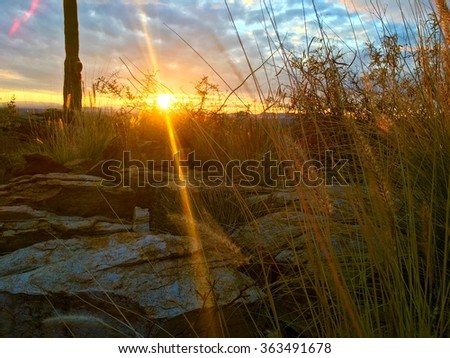 Evening sun rays shining through a desert landscape. 