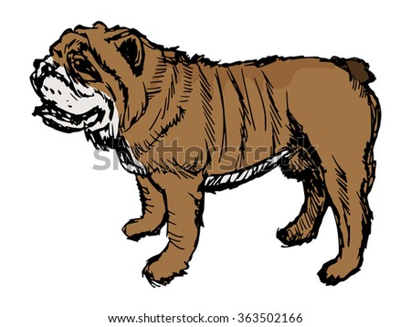 english bulldog, illustration of animal, zoo, pet, dog, danger