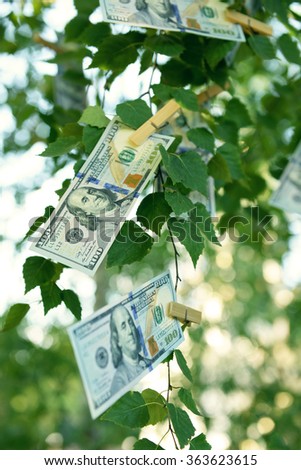 One hundred dollars bills on the tree, outdoors