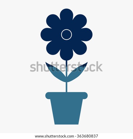 Blue flowers in pots