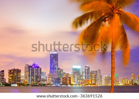 Miami Florida, sunset cityscape over the city panoramic skyline with lights on the modern downtown skyscraper buildings and palm tree in the foreground