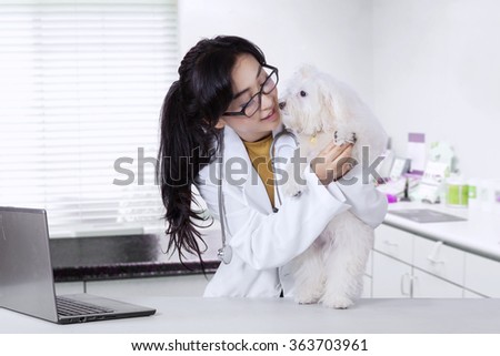 Picture of a young female veterinarian checks a dog foot in the clinic with a laptop on the table
