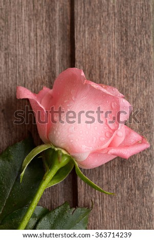Pink rose on old wooden background, vertical composition
