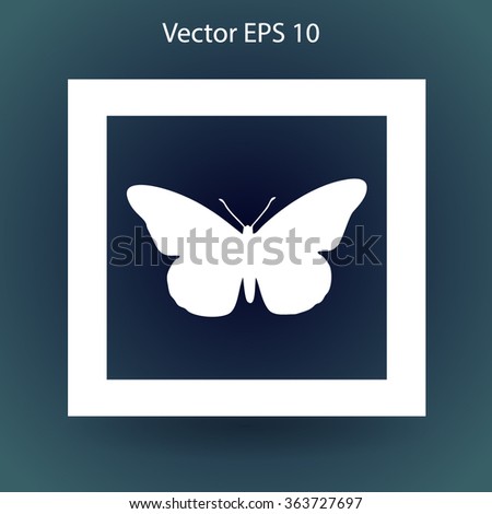 butterfly framed vector illustration