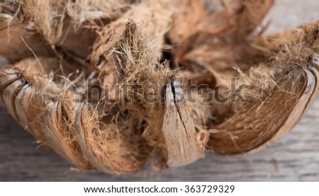Coconut on the wooden floor. Royalty-Free Stock Photo #363729329