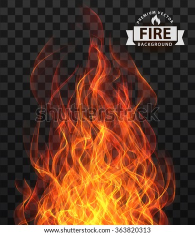 flame fire vector transparent background isolate red border texture hell vector fire flame frame border flame fire vector transparent background isolate red border texture hell danger devil explosion
