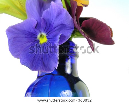 pansies with yellow iris in blue vase isolated on white